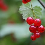 Welches Risiko besteht durch Bluthochdruck? <br /> © Rainer Sturm/ PIXELIO